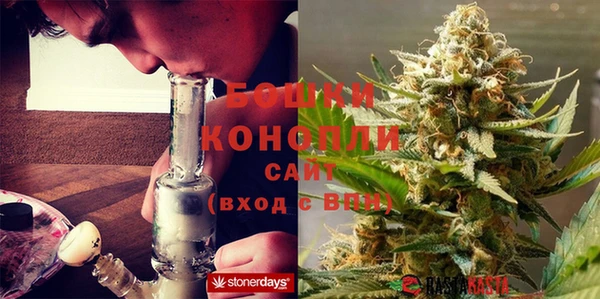 гидра Козельск
