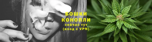 гидра Козельск