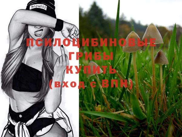 гидра Козельск