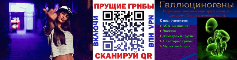 закладки Моршанск Псилоцибиновые грибы прущие грибы