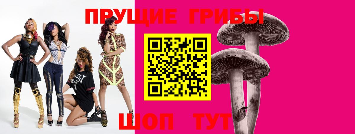 Псилоцибиновые грибы Psilocybine cubensis  Галлюциногенные грибы мицелий  Вход с VPN  наркошоп  Моршанск 